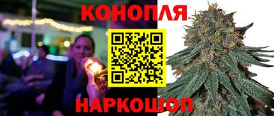 дмт Новокубанск