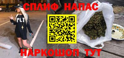 индика Новодвинск