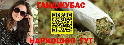 индика Новодвинск