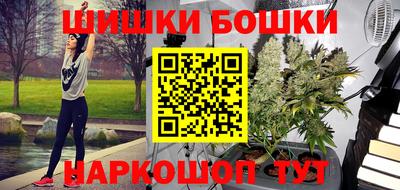 индика Новодвинск