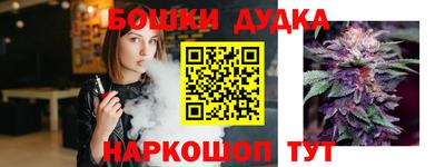 индика Новодвинск